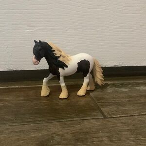 A black paint horse stallion